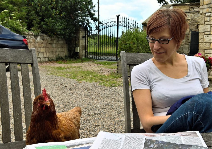 A woman seated at an outdoor table regarding a chicken in the next chair